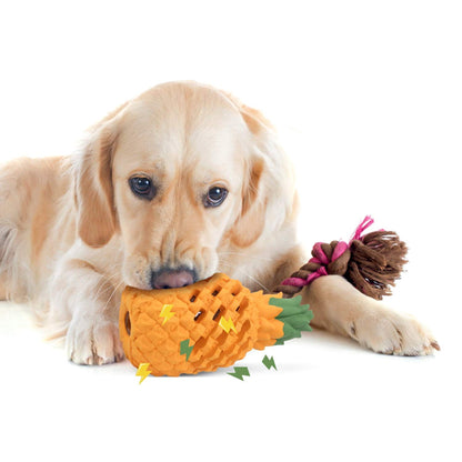 Dog Treat Toys for Pet Teeth Cleaning